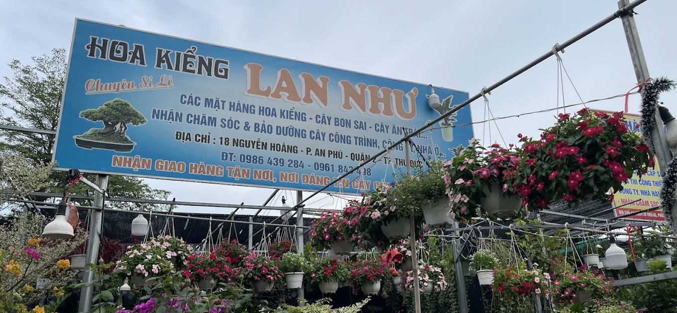 Lan Như - Thế giới cây kiểng: Nơi hội tụ tinh hoa nghệ thuật và thiên nhiên