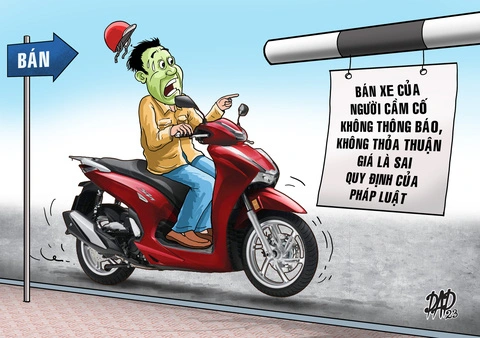 Cầm Đồ Nguyễn Phát: Địa Chỉ Tin Cậy Cho Mọi Nhu Cầu Tài Chính