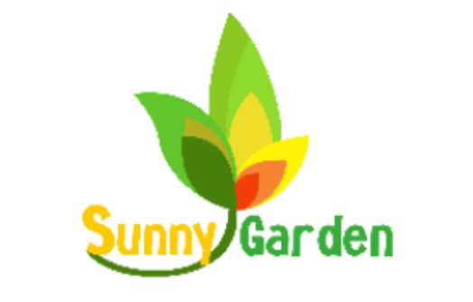 Review Trường Mầm Non Vườn Nắng – Ngôi nhà tuổi thơ tràn đầy yêu thương và trải nghiệm