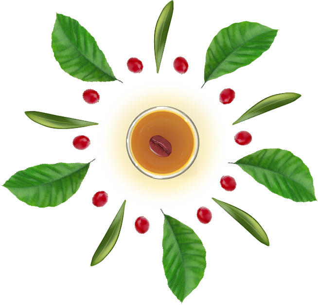 Top 3 Thương Hiệu Cà Phê Được Yêu Thích Nhất TP.HCM: OLIVE COFFEE, AVC Hemera, Lophefa