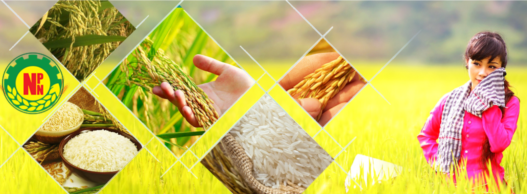 Top 3 Công Ty Cung Cấp Và Sản Xuất Lương Thực Uy Tín Tại Việt Nam