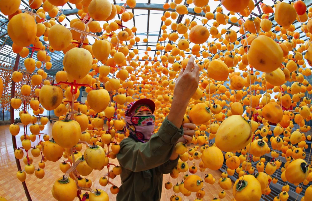 Top 3 Cửa Hàng Kinh Doanh Nông Sản Đà Lạt Uy Tín Nhất