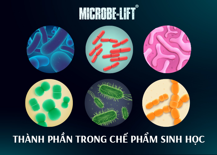 Top 3 Công Ty Công Nghệ Vi Sinh Và Môi Trường Uy Tín Tại Việt Nam