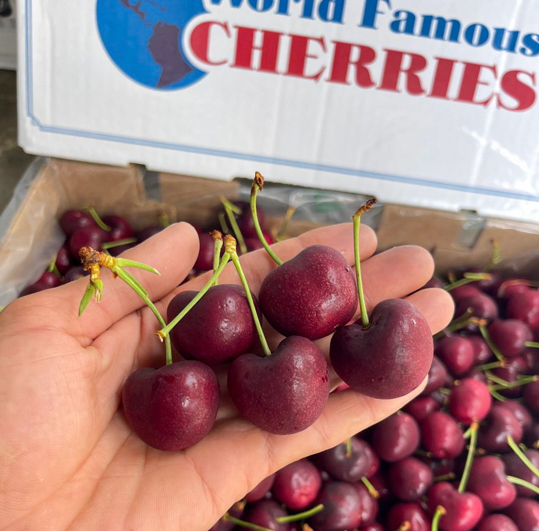 Top 3 Cửa Hàng Chuyên Cung Cấp Hoa Quả Uy Tín, Chất Lượng Tại TP.HCM