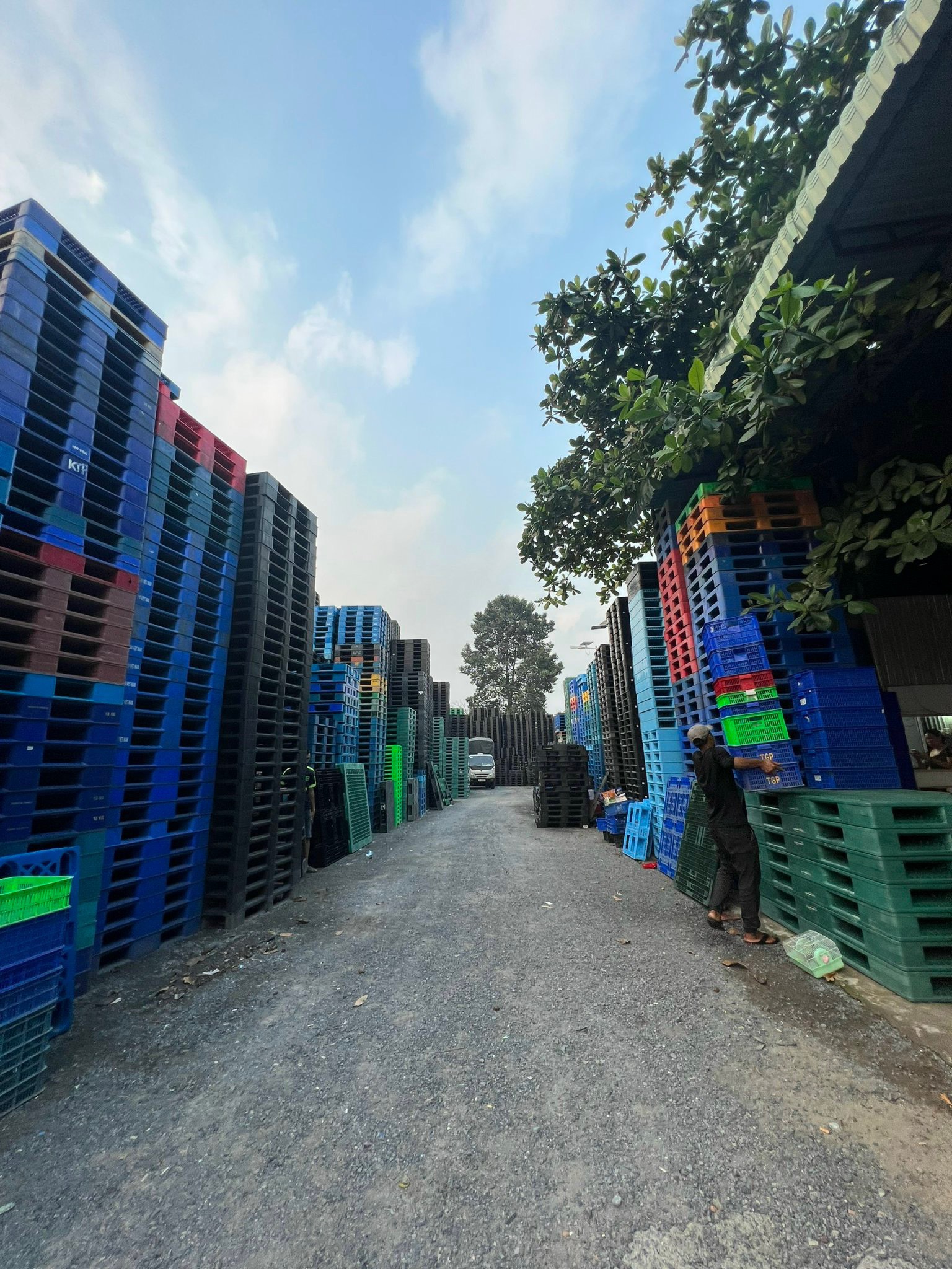 Top 3 Cửa Hàng Kinh Doanh Pallet Chất Lượng tại Bình Dương