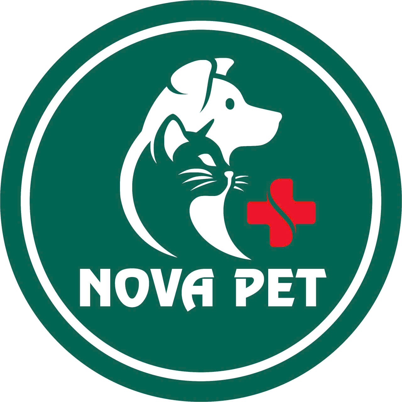 Top 3 Trung Tâm Thú Y Tay Nghề Cao Uy Tín Nhất Hiện Nay – Chăm Sóc Sức Khỏe Thú Cưng Toàn Diện