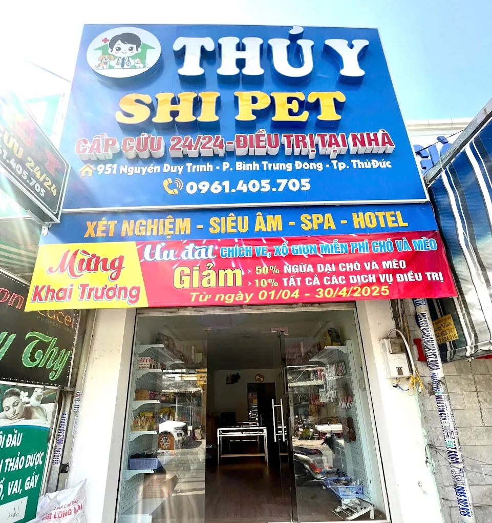 Top 3 Phòng Khám Thú Y Uy Tín Nhất Tại Thủ Đức – Chuyên Môn Giỏi, Được Chủ Nuôi Tin Dùng