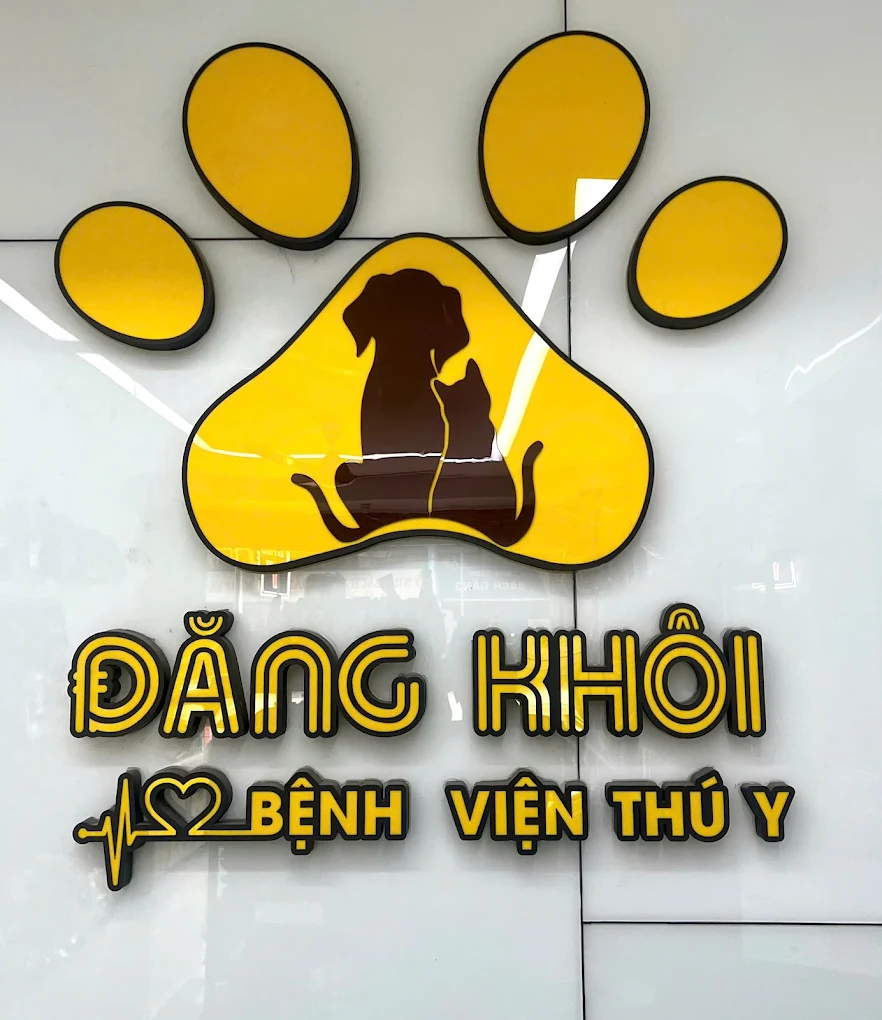 Top 3 Phòng Khám Thú Y Uy Tín – Nơi Gửi Gắm Sức Khỏe Thú Cưng Của Bạn