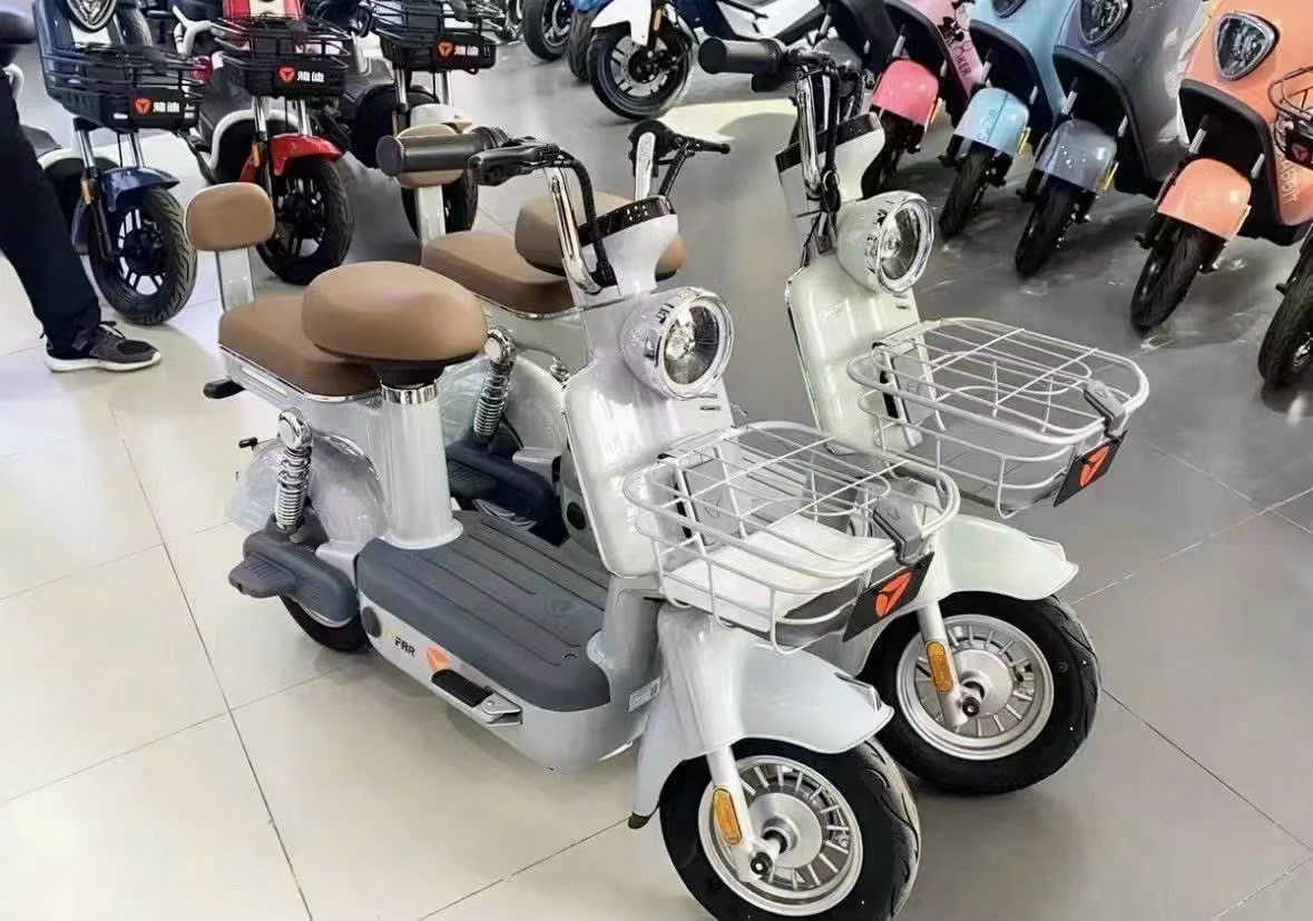 Top 3 Cửa Hàng Xe Đạp Uy Tín Tại Cao Lãnh – Lựa Chọn Hàng Đầu Cho Người Yêu Xe Đạp