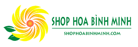 Top 3 bó hoa tặng người yêu tại Shop Hoa Bình Minh khiến “lòng rung động”