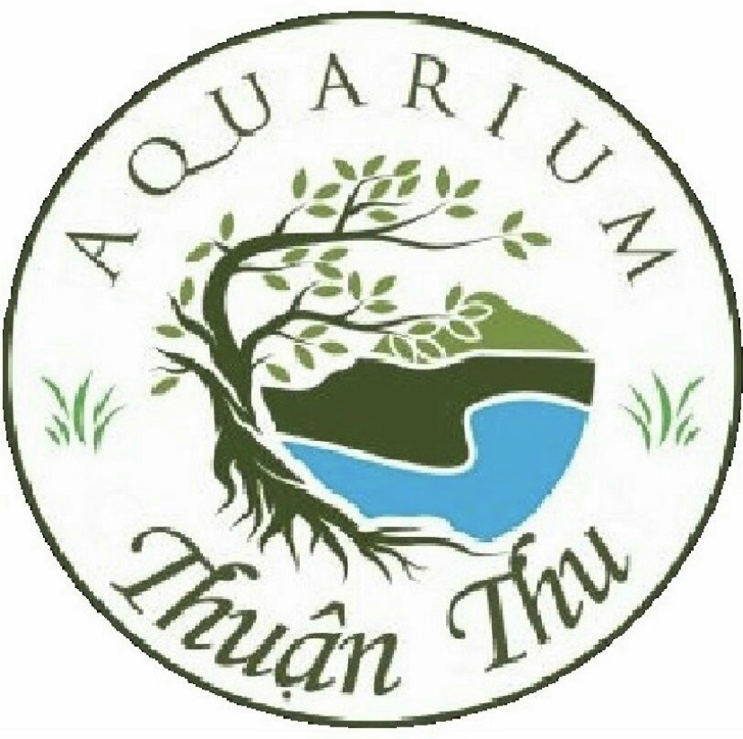 Top 3 Cửa Hàng Thủy Sinh TPHCM Được Yêu Thích