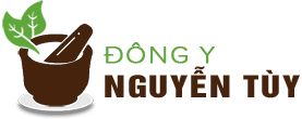 Top 3 Cửa Hàng Đông Y Cổ Truyền Uy Tín, Hiệu Quả Được Nhiều Người Tin Dùng