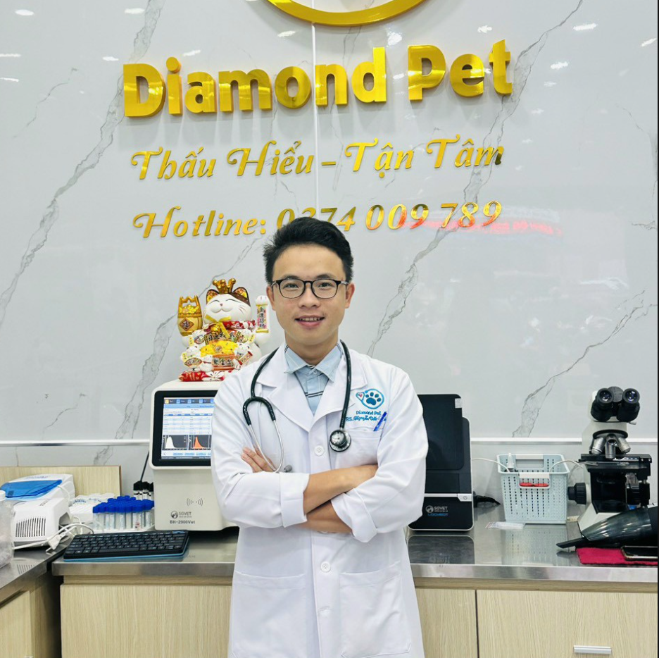 Diamond Pet - Địa điểm Khám Bệnh Thú Cưng Tốt Nhất ở Phú Nhuận