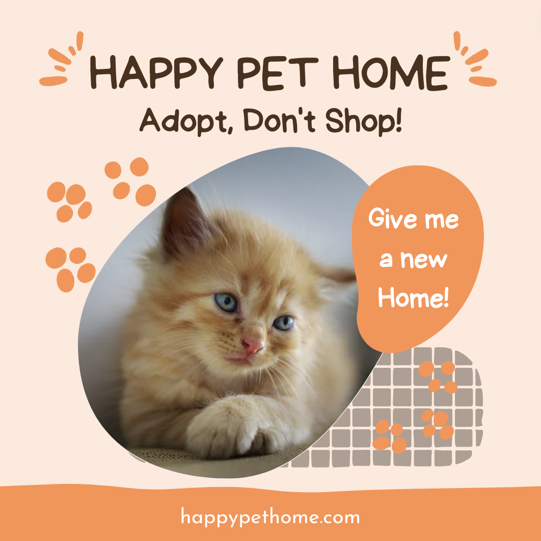 Happy Pet Home - Địa điểm chăm sóc thú cưng uy tín tại Thủ Đức