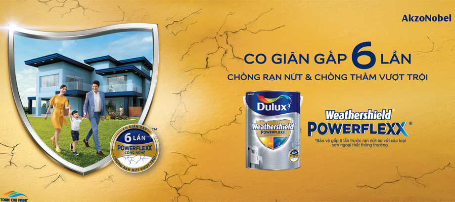 Nhà cung cấp sơn uy tín Gò Vấp - Công ty sơn Toàn Cầu