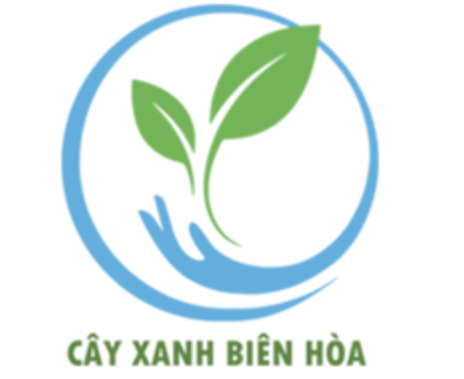 Top 3 Công Ty Cung Cấp Hồ Cá Koi & Cây Văn Phòng Uy Tín Tại Biên Hòa – Chất Lượng & Dịch Vụ Tận Tâm