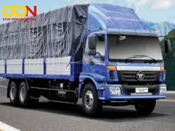 https://dongdongnai.com/
