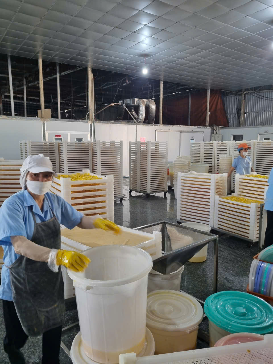 Top đơn vị thi công lò sấy dẻo rau củ quả bằng hơi nước uy tín