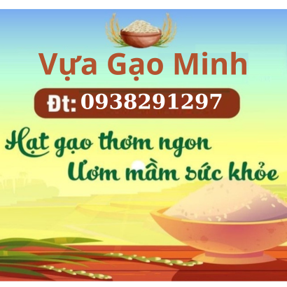 Hành Trình Gạo: Từ Nông Trại Đến Bàn Ăn Của Bạn