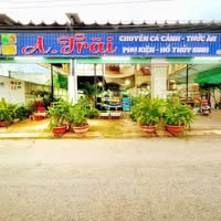 Cá Cảnh Anh Trãi – Thế Giới Cá Cảnh Đẹp, Độc Lạ tại Tp. Hồ Chí Minh