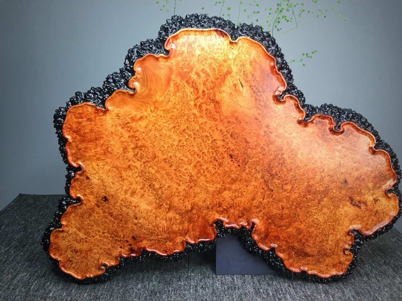 Top công ty chuyên cắt xẻ, thi nội thất gỗ Nu Hương uy tín nhất tại Tp. Hồ Chí Minh