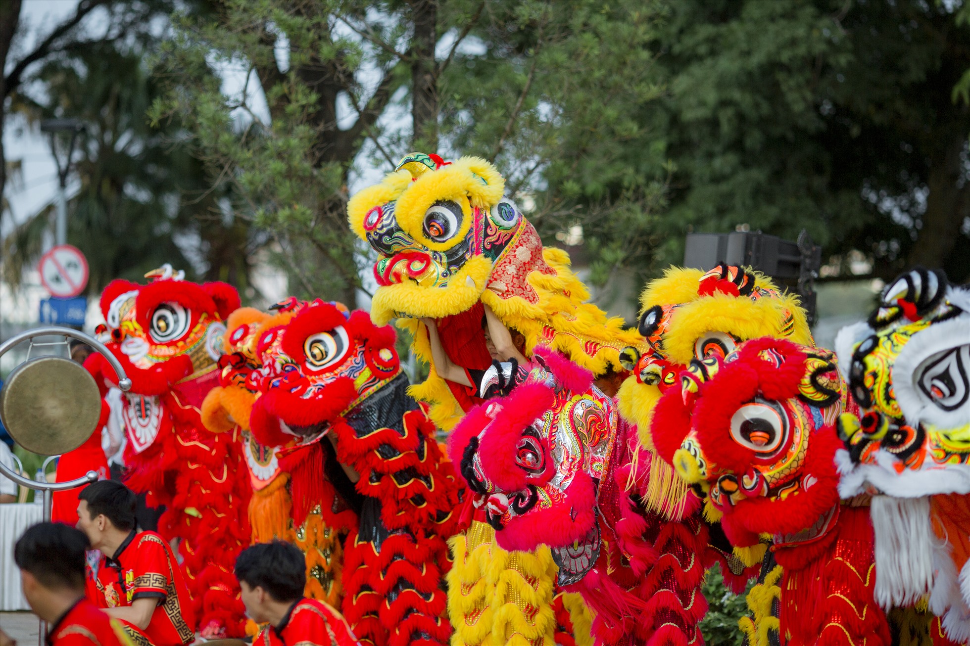 Đoàn Lân Trung Sơn Võ Đạo Hồ Chí Minh