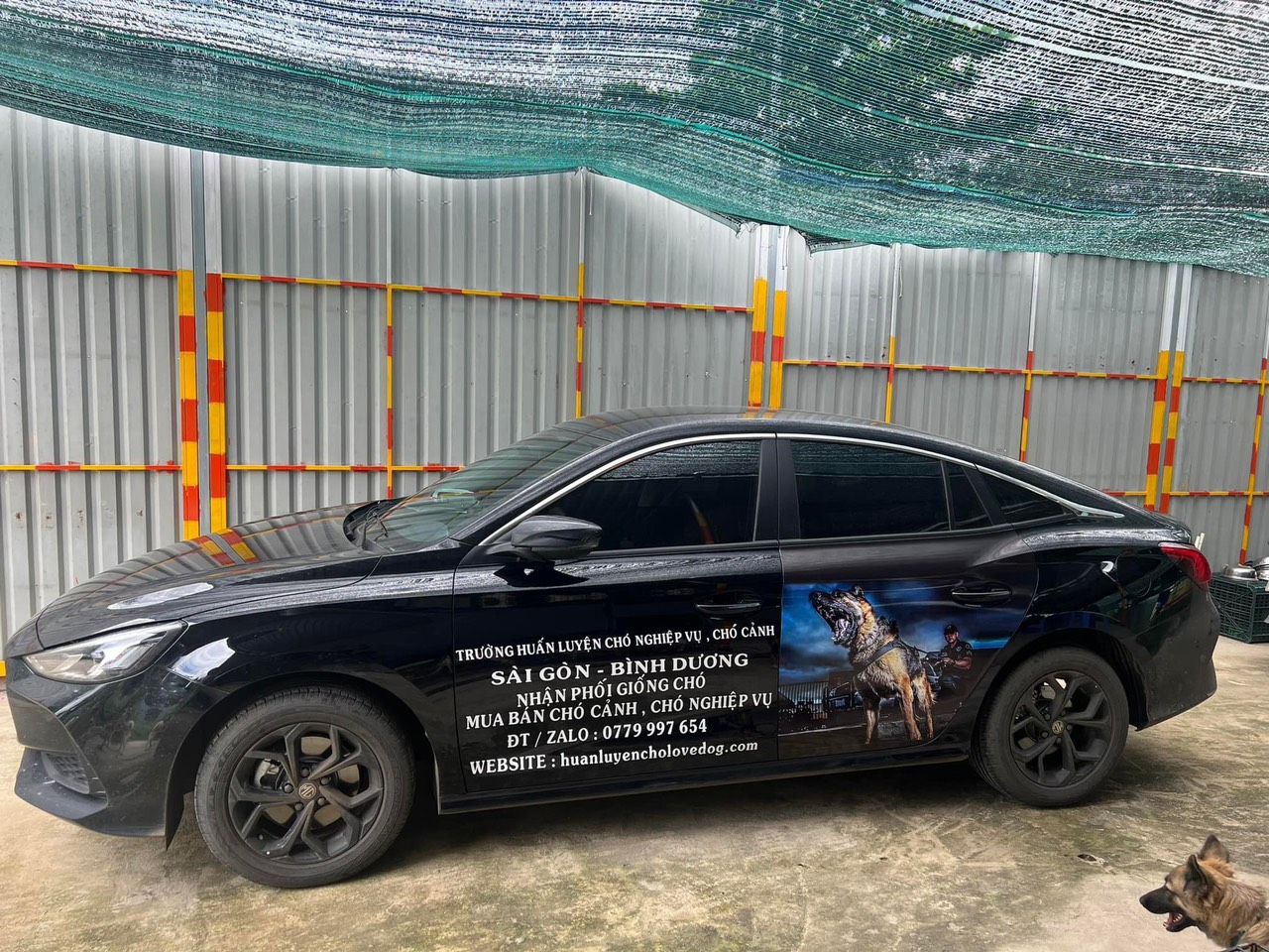 TOP 3 CÁC TRƯỜNG HUẤN LUYỆN CHÓ NGHIỆP VỤ TỐT NHẤT Ở HỒ CHÍ MINH NĂM 2023