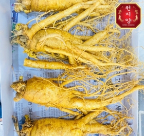 Đơn vị hàng đầu cung cấp Nhân sâm Hàn Quốc nhập khẩu chất lượng tại Biên Hòa