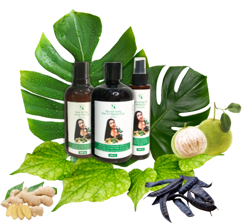 Top 3 Đơn Vị Sản Xuất & Cung Cấp Sản Phẩm Chăm Sóc Tóc Thiên Nhiên – Hữu Cơ Uy Tín Nhất Hiện Nay