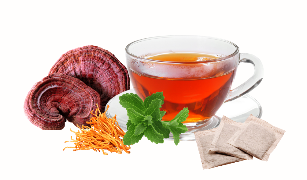 Top 3 Công Ty Bào Chế Nấm Linh Chi Uy Tín – Chất Lượng Tại Việt Nam