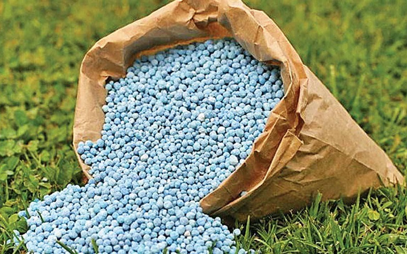 Top 3 Công Ty Phân Bón, Thuốc Bảo Vệ Thực Vật Uy Tín Nhất