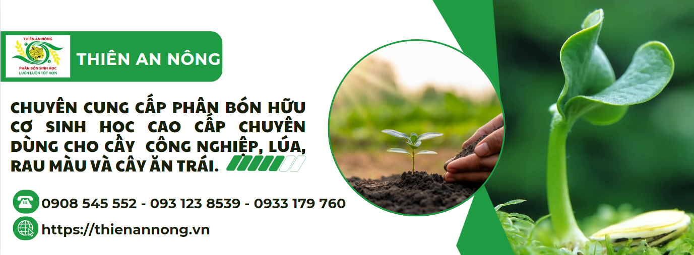 Top 3 Công Ty Phân Bón, Thuốc Bảo Vệ Thực Vật Uy Tín Nhất