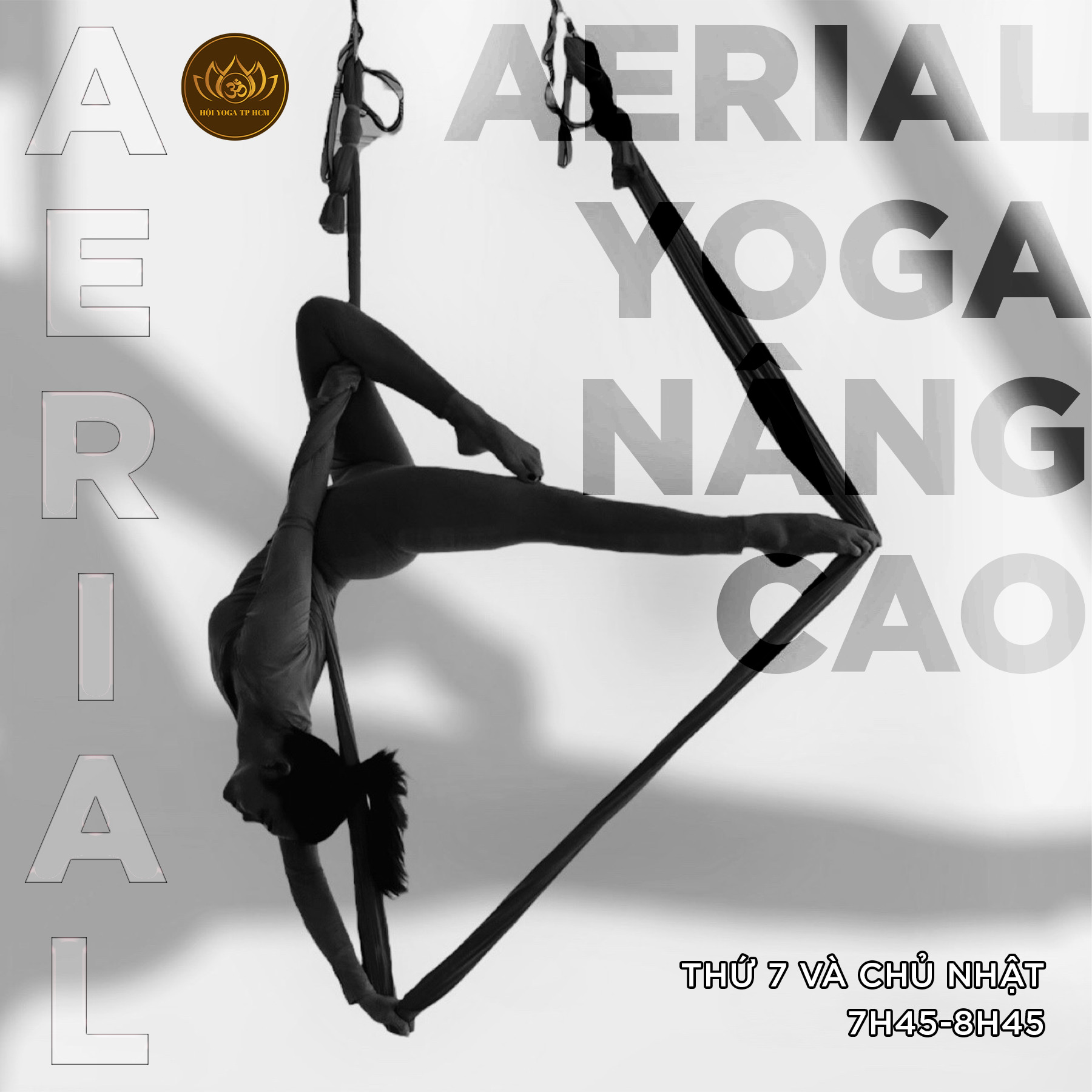 Khám Phá Viện Đào Tạo Yoga Quốc Tế TP.HCM – Nơi Khởi Nguồn Của Sức Khỏe Toàn Diện