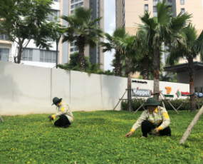 TOP ĐẦU CÔNG TY THI CÔNG CẢNH QUAN Ở THỦ ĐỨC