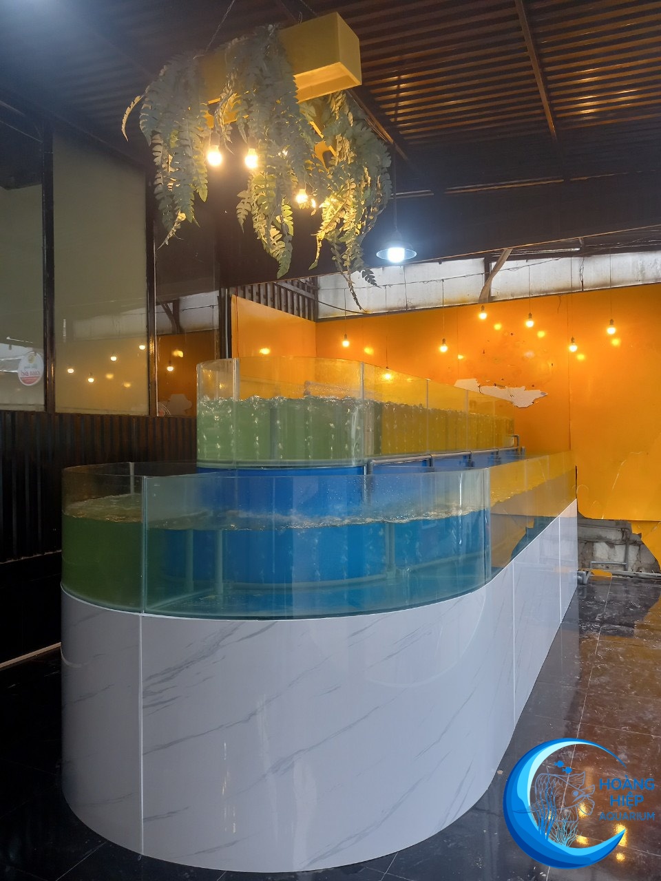 Thi Công Hồ Cá Koi Chuyên Nghiệp tại Hóc Môn - Sự Hoàn Hảo từ Hoàng Hiệp Aquarium