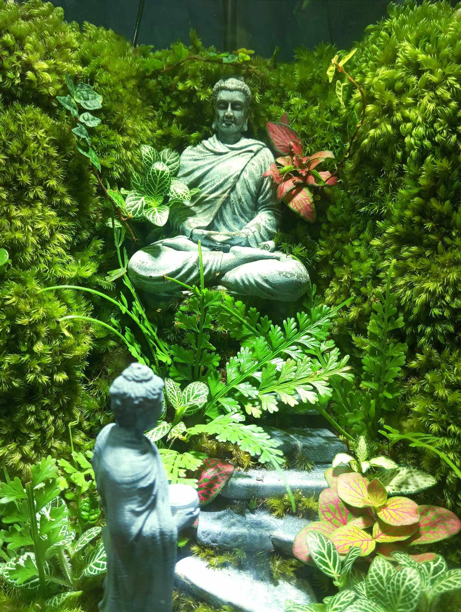 Tiny Love Garden – Nơi Trải Nghiệm Hòa Mình Trong Thế Giới Nghệ Thuật Terrarium