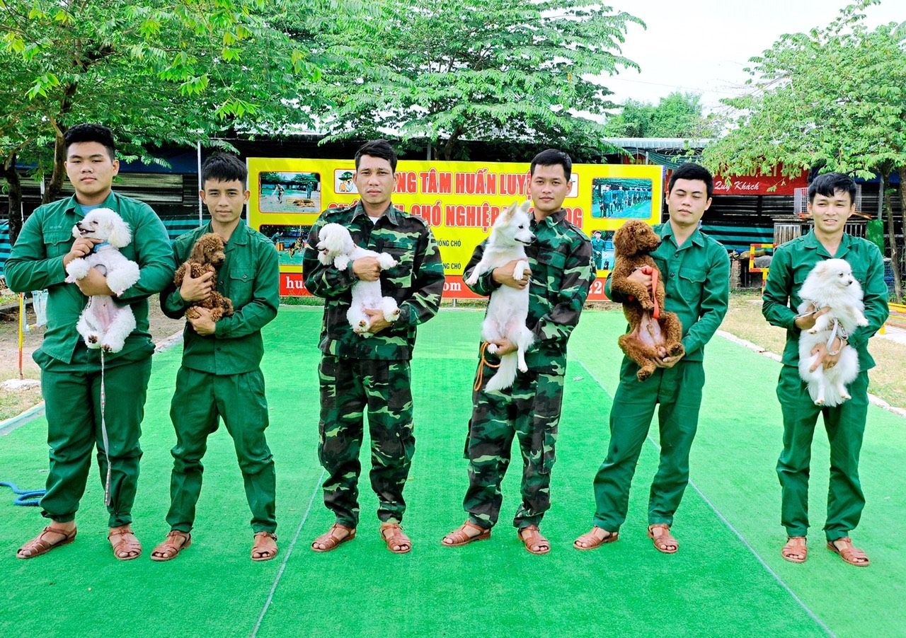 Trung Tâm Huấn Luyện Chó Uy Tín Tại Miền Nam