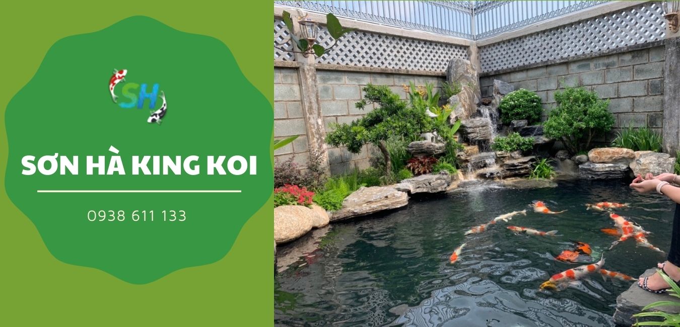 TOP 3 ĐƠN VỊ THIẾT KẾ THI CÔNG HỒ CÁ KOI UY TÍN TẠI THỦ ĐỨC