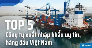 Top 3 Công Ty Xuất Nhập Khẩu Uy Tín Tại TP. Hồ Chí Minh