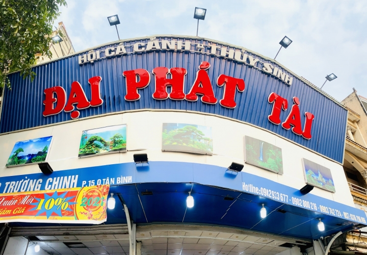 Top 3 cửa hàng Cá Cảnh, Uy Tín Tại Quận Tân Bình