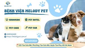 TOP 3 Melody Pet – Bệnh Viện Thú Y Sài Gòn Uy Tín