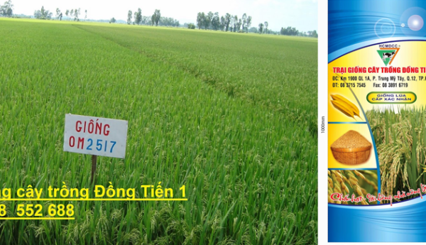 TOP 3 TRẠI CÂY GIỐNG TỐT NHẤT TP.HCM