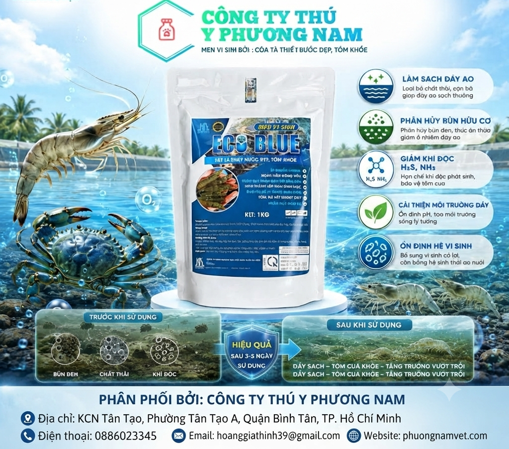 CÔNG TY THÚ Y PHƯƠNG NAM – ĐỒNG HÀNH CÙNG NGƯỜI CHĂN NUÔI KIẾN TẠO GIÁ TRỊ BỀN VỮNG