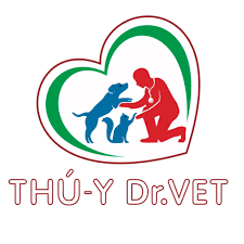 Phòng Khám Thú Y DrVet Bình Chánh – Chăm Sóc Thú Cưng Tận Tâm