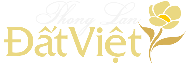 Top 3 Cửa Hàng Hoa Tươi Đẹp, Uy Tín Nhất Bình Thạnh: Giải Mã Sức Hút Của HOA HOA SÀI GÒN