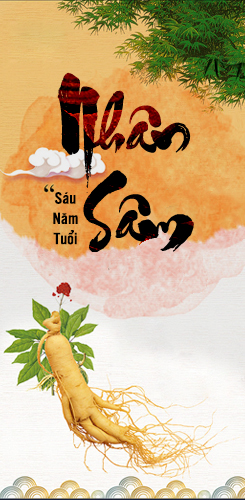 Chăm Sóc Sức Khỏe Gia Đình với Sâm Yến Gia Nguyễn