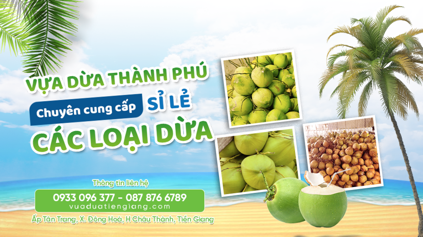 Top 3 Vựa Dừa Đặc Sản Chất Lượng Cao Miền Tây