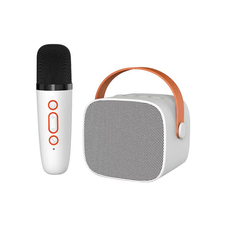 3 Địa Điểm Mua Loa Karaoke Xách Tay Uy Tín Nhất TP.HCM