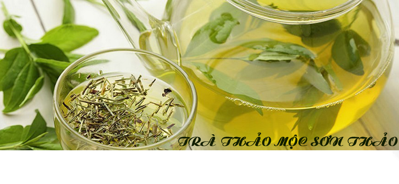 Top 3 Lý Do Chọn Công Ty TNHH Sản Xuất Thương Mại Sơn Thảo