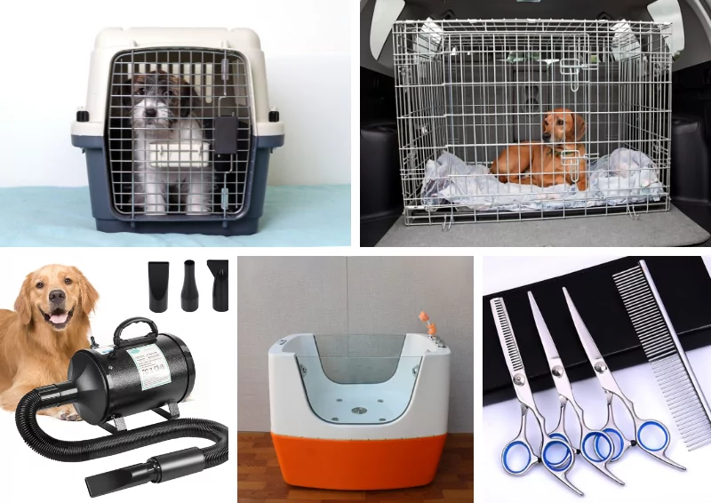 TOP CÁC CỬA HÀNG THÚ CƯNG UY TÍN TẠI TP. HCM 